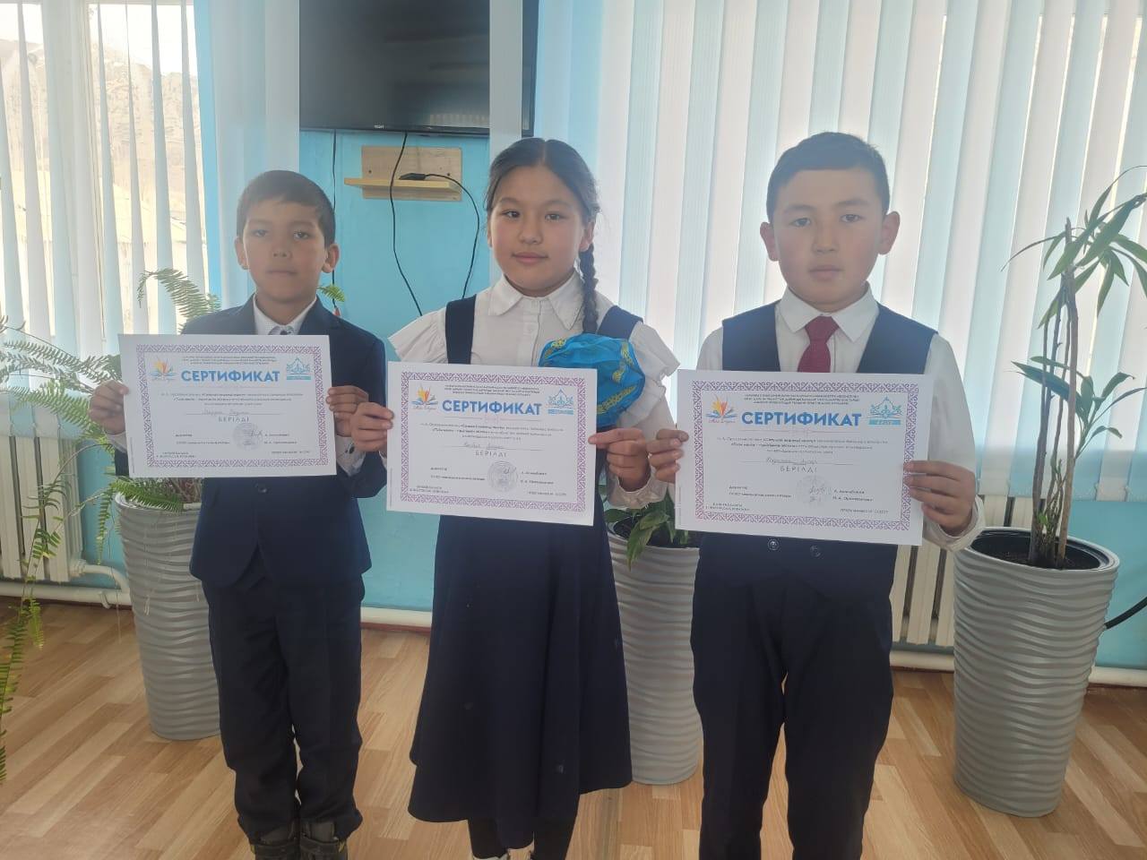  "Сатылай кешенді оқыту"